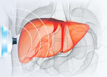 p3Header.jpg