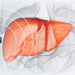p3Header.jpg