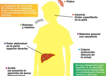 infografiahepatitisa