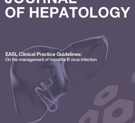 Hepatitis-B-virus-infection-management.png