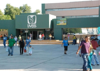 imss1.jpg