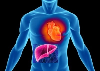 hepatitis-C-y-el-corazón.jpg