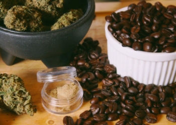 cafe-y-cannabis.jpg