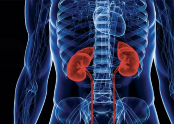 falla-renal.jpg