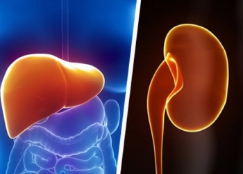 hígado-y-riñón-hepatitis-2000.jpg