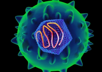 virus-hepatitis-C-hepatitis-2000.jpg