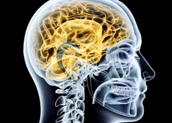 Curso-Alteraciones-Neurologicas_1.jpg