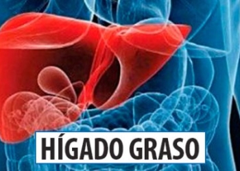 HIGADO-GRASO.jpg