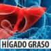HIGADO-GRASO.jpg
