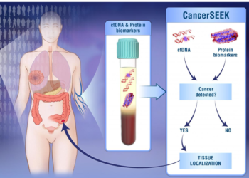 Hepatitis-2000CancerSEEK-blood-test-that-detects-8-common-cancers.png