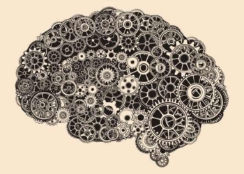 cerebro.jpg