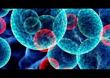 inmunoterapia-incrementa-supervivencia-en-cancer-d-257135-jpg_700x0.jpg