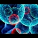 inmunoterapia-incrementa-supervivencia-en-cancer-d-257135-jpg_700x0.jpg