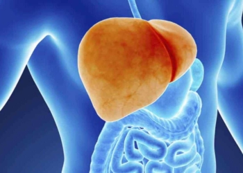 hígado-graso-y-diabetes.jpg