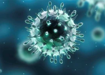 hepatitis-C-nuevo.jpg