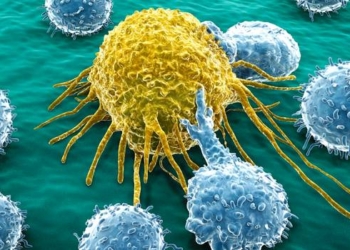 celula-de-cancer.jpg