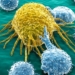 celula-de-cancer.jpg