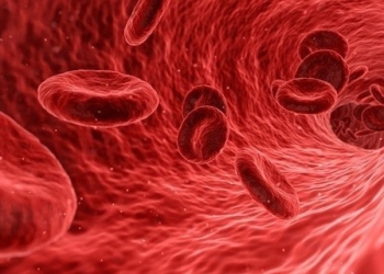 sangre-regeneracion-hepatica.jpg