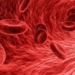 sangre-regeneracion-hepatica.jpg