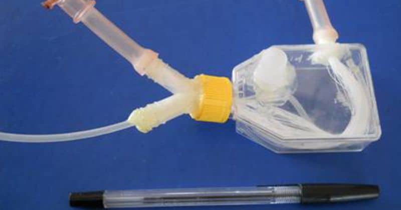 higado-bioartificial.jpg