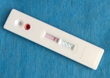 virus-HCV-negativo.jpg