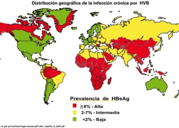 hepatitis-b-2008.jpg