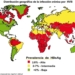 hepatitis-b-2008.jpg