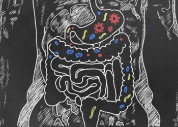 dibujo flora intestinal