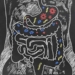dibujo flora intestinal