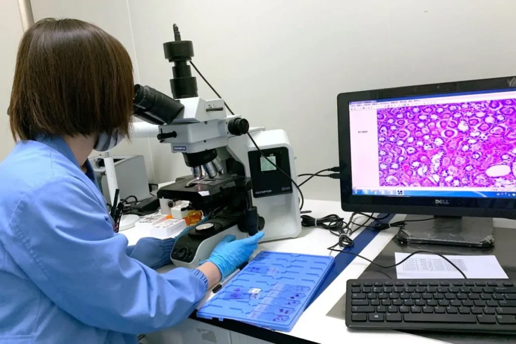 Investigadores de Universidad de Alabama investigan la cura de la hepatitis B