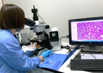 Investigadores de Universidad de Alabama investigan la cura de la hepatitis B