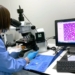 Investigadores de Universidad de Alabama investigan la cura de la hepatitis B