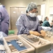 esterilizando materiales quirurgicos