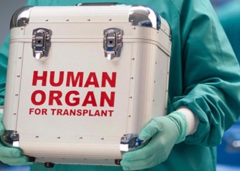 caja para transporte de órganos