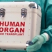 caja para transporte de órganos