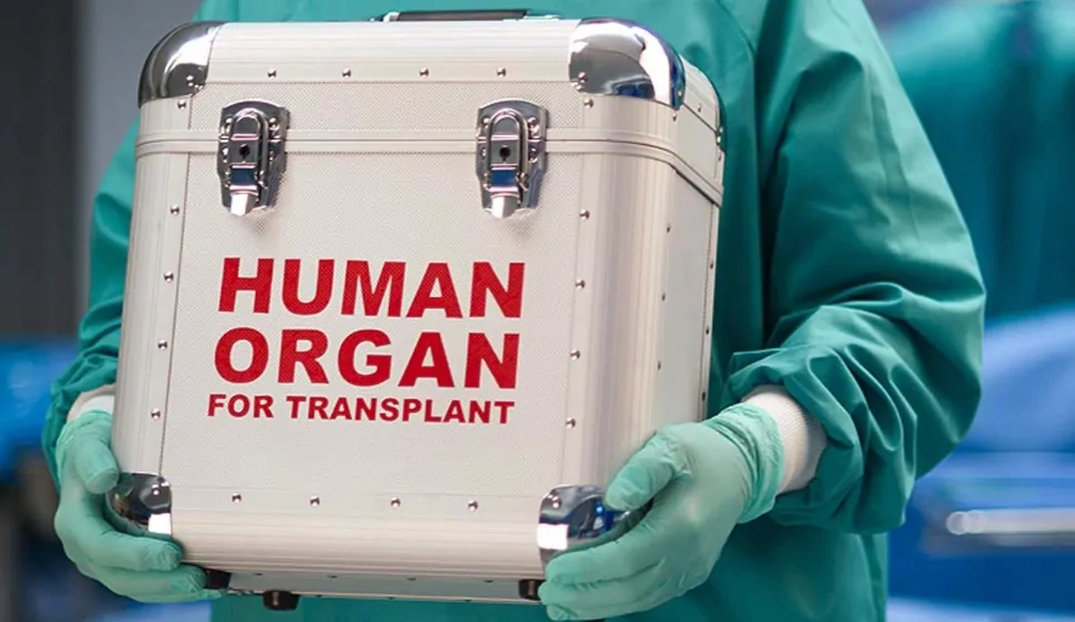 caja para transporte de órganos