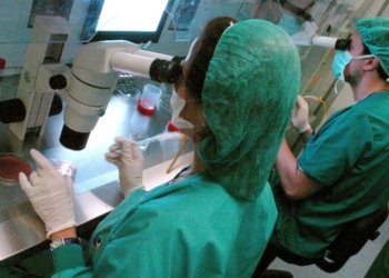 investigadores de la vacuna hepatitis B
