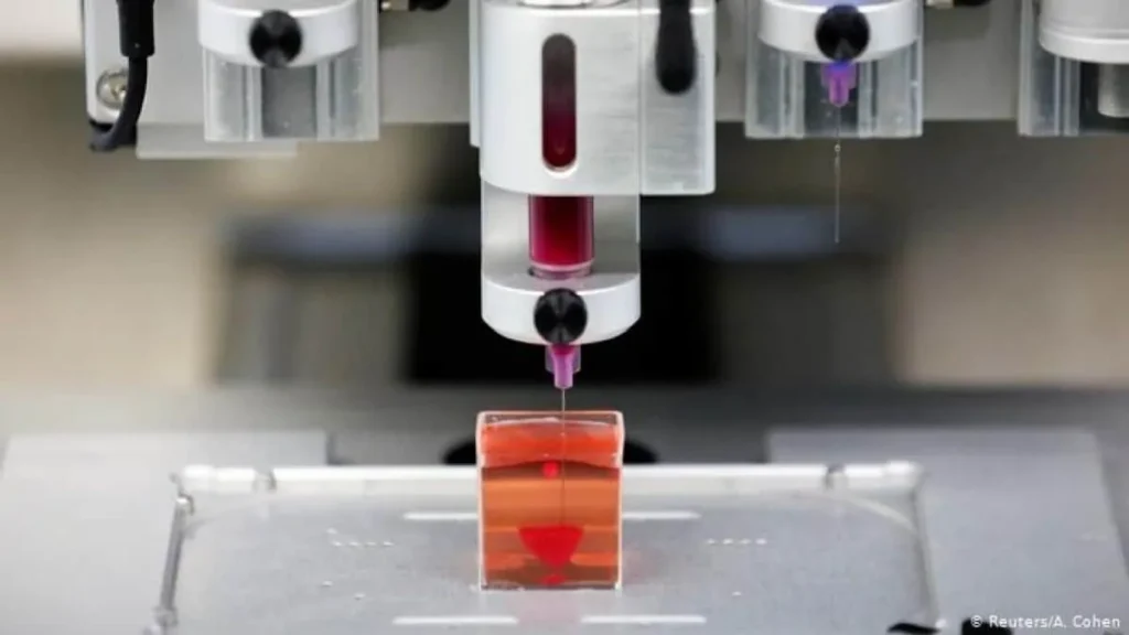mini hígado impresión 3D