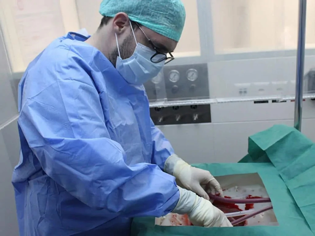 Conservando y reparando hígado para trasplante - Zurich