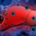 coronacirus-y-el-hígado.jpg