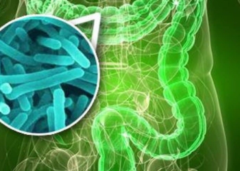 bacterias-y-diabetes.jpg
