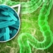bacterias-y-diabetes.jpg