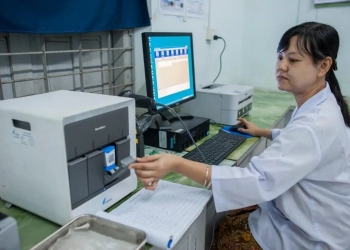 hepatitis c test rapidos carga viral expres y tratamiento la formula perfecta