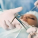 hepatitis C tipos de cirugias