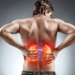 enfermedad renal cronica y su relacion con la hepatitis b y c 1
